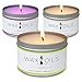 Scented Candles - Lavender, Lemongrass & Sandalwood (Pack of 3) Soy Aromatherapy, 8oz