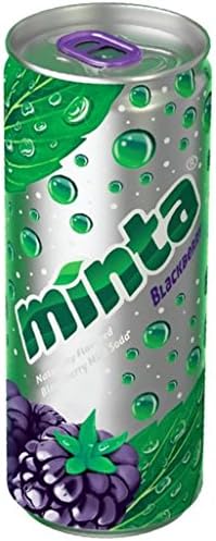 Minta Naturally Flavored Sparkling Mint Beverage, Blackberry, 10 Fluid Ounce (24 Count)