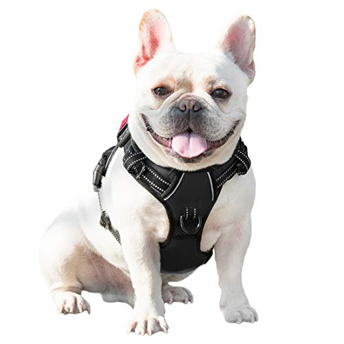 PHOEPET 2 Anti-Zieh-Hundegeschirr für kleine Hunde, reflektierend, verstellbar, mit Clip an der Vorderseite, Weste mit Griff, 2 Metallringe, 3 Schnallen, einfach an- und auszuziehen, Größe XS, Schwarz