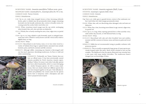 Appalachian Mushrooms: A Field Guide - Image 4