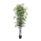 🌿 [TRONCO NATURAL]: Nuestro modelo con tronco natural brinda una calidad especial a nuestra planta, aportando un toque hiperrealista y estético.