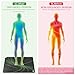 Grounding Mat for Improve Sleep, Pain Relief, Inflammation,22.68 x 35.43 inch Earthing Mat Grounding Pad for Bed, Feet, Yoga, Working, Enjoy The Grounding Effect at House