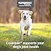 Nutramax Cosequin for Dogs Joint Health Supplement, Contains Glucosamine, Plus Chondroitin, MSM and Omega-3s, Supports Joint and Skin and Coat Health, Soft Chews, 120 Count