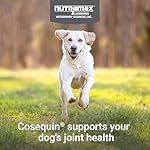 Cosequin Joint Health Supplement for Dogs - With Glucosamine, Chondroitin, MSM, and Omega-3's, 120 Soft Chews - Image 3