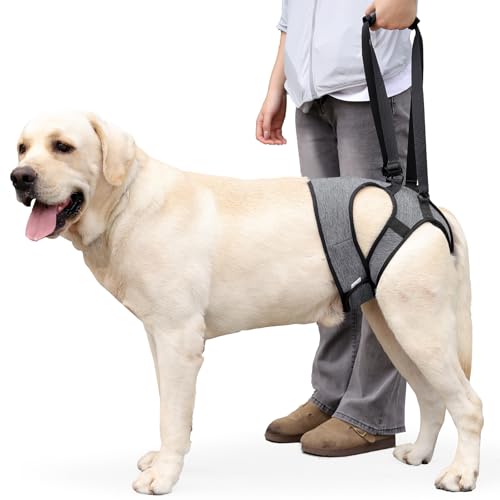 THKWOO 犬介護ハーネス 脱落防止設計 犬 歩行補助ハーネス 通気性サポートスリング 調整可能 後肢補助 高齢犬 術後回復期 関節炎 障害ペット 散歩 階段の上り下り 移動の補助用 老犬介護用品(グレー XL)（Amazon）
