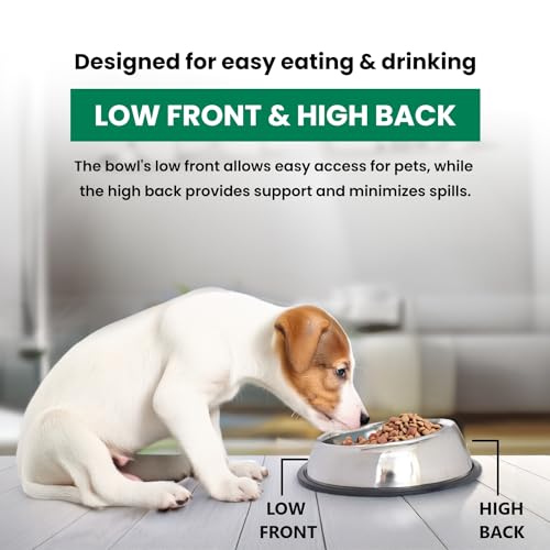 ICONIC PET 1 Cup/8 Oz Heavy Weight Non-Skid Stainless Steel High Back Pet Food/Water Bowls - 2 Pack with Removable Anti Skid Rubber Ring - Dog/Cat Feeding Bowl in Unique Design, Dishwasher Safe
