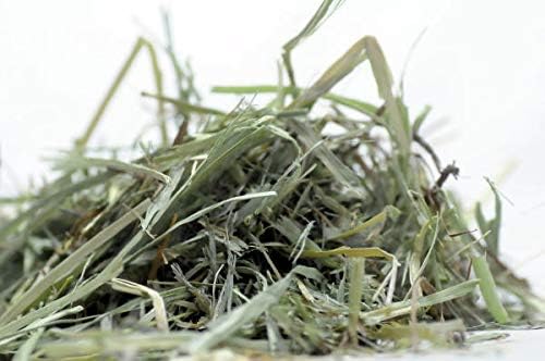 牧草 1番刈り プレミアムチモシー 20kｇ 牧草 うさぎ 小動物