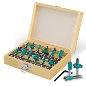 Csoom DE-12pcs Fräserset für Holzarbeiten