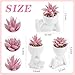Der Rose 3 Pcs Fake Succulents Plants Artificial Pink Room Office Desk Decor for Women