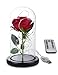 Christmas Decor Beauty and The Beast Rose Kit Red Artificial Flower Rose Gift for Wife with Led Light in Glass Dome for Christmas Valentine's Day Forever Rose Lights Eternal Rose (Black)