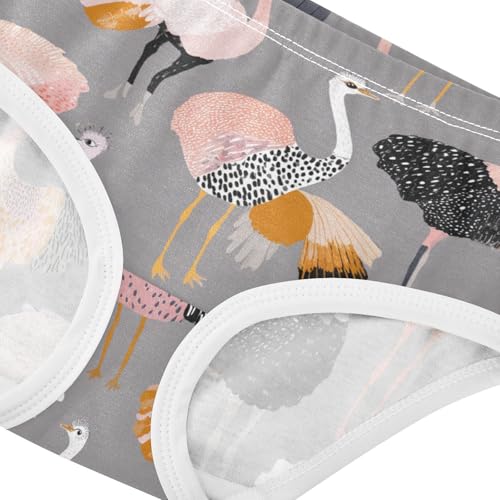 Wusikd Cartoon Geese Girls' Underwear Cotton Girls Briefs Soft Toddler Underwear 2T4