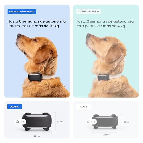 Miniatura 6 de Tractive GPS para Perros Inteligente | Edición 2026 | Localización GPS en Tiempo Real | Alertas antifuga y avisos de Salud | Monitorización de Constantes Vitales | Batería de Larga Duración (Negro)