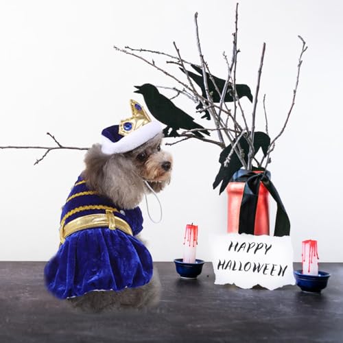 Set disfraz Halloween para perros y gatos azul talla pequeña miniatura 6
