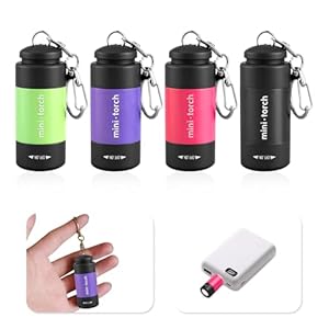 flintronic 4 Stück Mini LED Taschenlampe, Schlüsselanhänger Taschenlampe Klein, USB Rechargeable, für Klettern, Camping, Outdoor, Geschenke zum Kindergeburtstag
