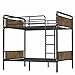 cloblane Twin XL Over Twin XL Bunk Bed, Metak Bunk Beds Frame with Safety Guardrails, Modern Metal Bed Frame with Ladders for Teens, Industrial Detachable, No Box Spring Needed, Black