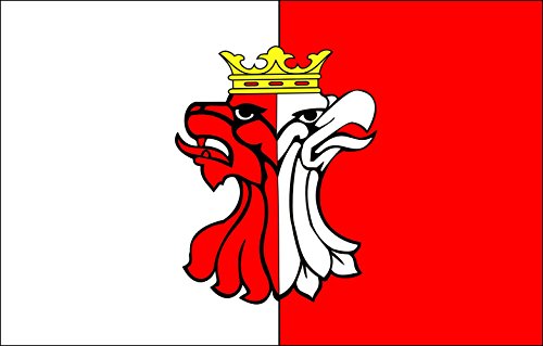 Drapeau large POL powiat aleksandrowski anti-déchirure et anti-UV
