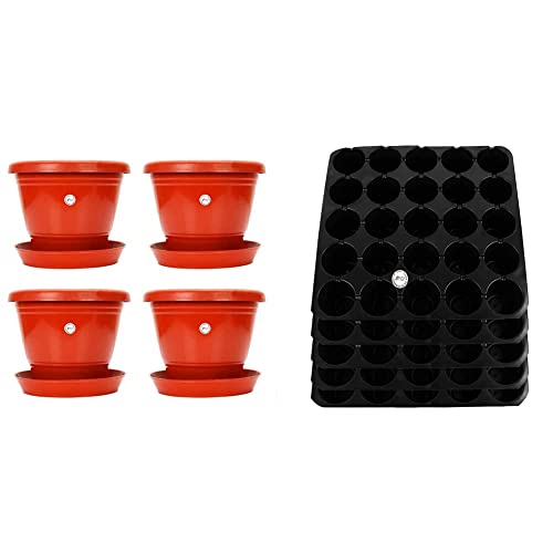 Image of Kraft Seeds 8-inch Garden Balcony Flowering Planter with Bottom Plate /Tray (Red /Terracotta, Pack of & Seedling Tray (Pack of 5) Combo