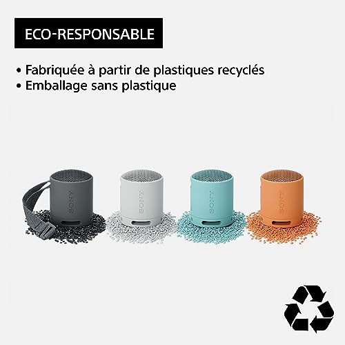 Sony SRS-XB100 - Enceinte sans Fil Bluetooth, Portable, légère, compacte, Durable, IP67, étanche à l'eau et à la poussière, Batterie 16H, dragonne Polyvalente, appels Mains Libres, Corail, Orange
