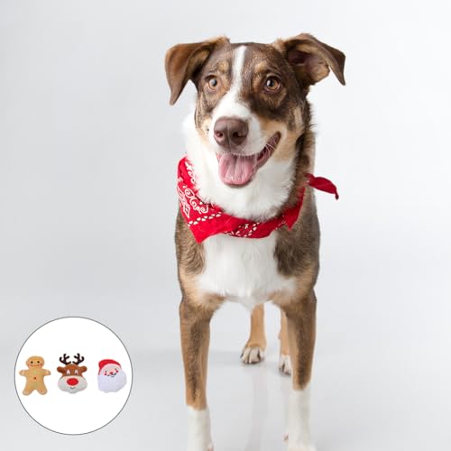 minkissy 3pcs Christmas Pet Toys Santa Reindeer Gingerbread Man Dog Cat Plush Toys Chew Toy Chewer Teething Toys for Puppy Cat Pet (Random Style) - Image 4