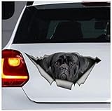 2 pièces 22 Cm (8,6 Pouces) Cane Corso, Autocollant Pour Animaux De Compagnie, Autocollant De Chien, Autocollant Cane Corso Noir (Hg1Fs13526)