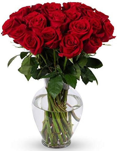 Benchmark Bouquets 2 Dozen Red Roses, With Vase (Fresh Cut Flowers)