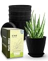 Goproauto 6 Inch Indoor Planter Pots with Drainage Hole and Tray Saucer,Flower Pots for Indoor Outdoor Garden Plants and Flowers, Multicolor, 5 Packs