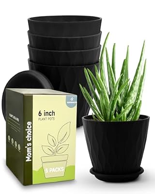 Goproauto 6 Inch Indoor Planter Pots with Drainage Hole and Tray Saucer,Flower Pots for Indoor Outdoor Garden Plants and Flowers, Multicolor, 5 Packs
