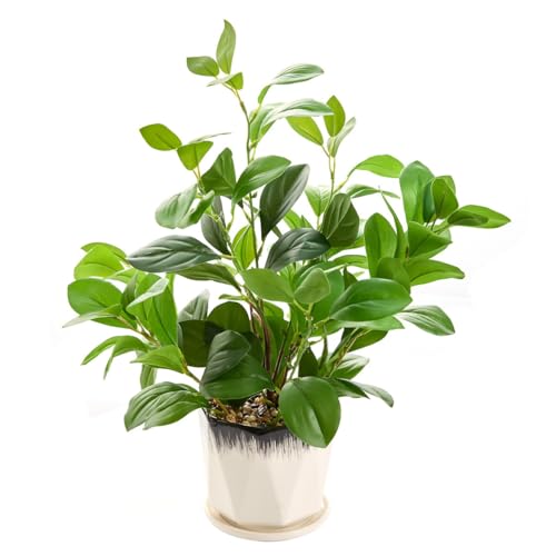 16 inch Fake Plants Indoor Realistic Thick Evergreen Leaf Artificial