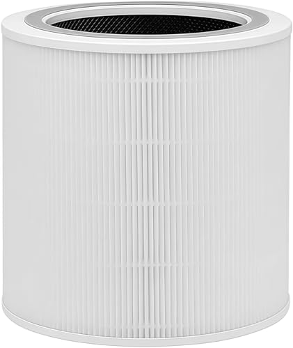 Filtre Core 400S pour maison sans fumée ni poils d'animaux compatible purificateur