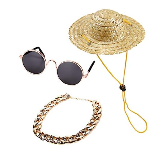 Pet Glasögon 3pc husdjur hund katt tillbehör solglasögon halsband set dekoration tillbehör till katt hund cosplay kläder party tillbehör Brukade dekorera husdjur (Color : A)
