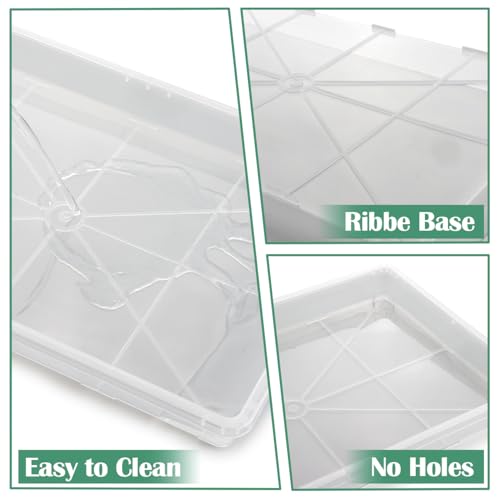 RooTrimmer Clear Seed Starter Trays 5 Pack(17"x11"x2"), Reusable Plastic Carrying Seedling & Nursery Trays, Durable Flat Pots Trays, Transparent Square Tray for Planting and Collecting Drainage Water - Image 6