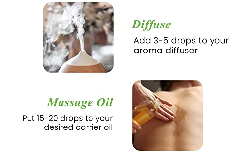 Handcraft Peppermint Essential Oil - 100% Pure And Natural - Premium Therapeutic Essential Oil For Diffuser And Aromatherapy - 0.33 Fl Oz - Pack Of 2 #TOP4