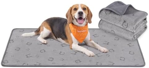 Feandrea Hundedecke, 2er Set, wasserdicht, auslaufsicher, 90 x 60 cm | Wiederverwendbare Hundematte, 90x60 cm, rutschfest, saugfähig für Hunde, Katzen, Kaninchen, Grau, Basco Kolle