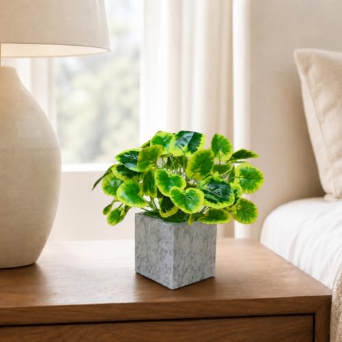 Image of fancymart Artificial Plant with Real-Touch Leaves in Pot, 25 cm, Indoor Tabletop Item for Home Decor, Office, Living Room