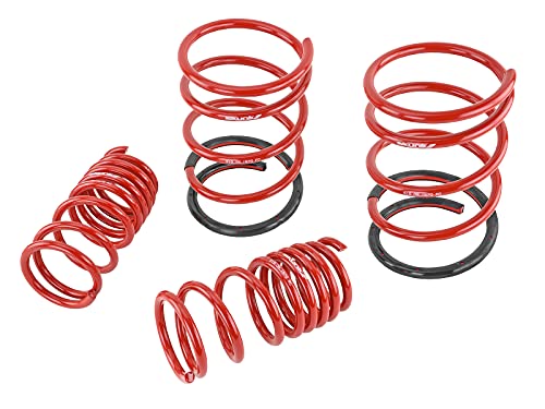 Skunk2 Lowering Springs for 2001-2005 Honda Civic | 519-05-1570