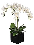 House of Silk Flowers Artificial Triple-Stem Phalaenopsis Orchid Arrangement, White/Yellow