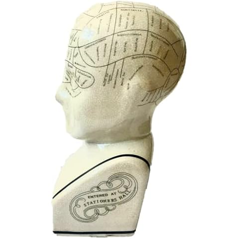 L.N Fowler Porcelain Phrenology Ceramic Head Cover