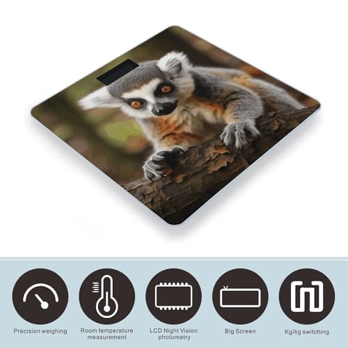 Báscula Digital de Baño Monkey Lemur 26x26 cm Vidrio Templado miniatura 3