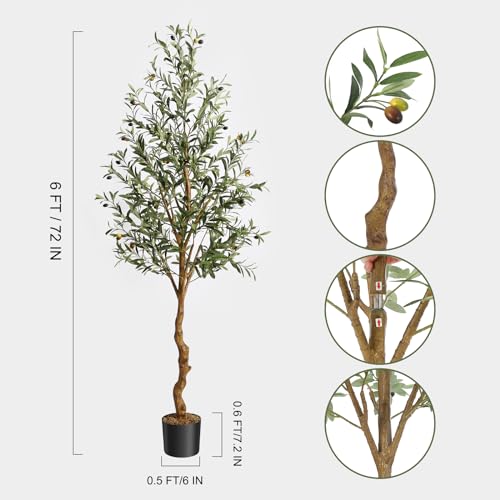 GAOMON Artificial Olive Tree 6FT(72in) Tall Faux Olive Trees with Silk Leaves for Home Office Living Room Decor Indoor Fake Olive Tree with Curved Wood Trunk and Lifelike Fruits 1 Pack