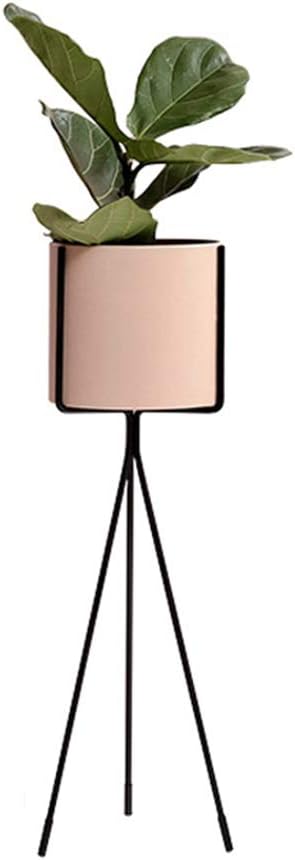 Indoor Flower Pot Stand Living Room Metal Display Shelf Iron Art Garden Herb Bonsai Shelves Outdoor Balcony Decoration Planter Rack(Black,S)