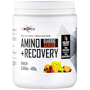 Amino Acids | Amino+Recovery Fruit Punch | XPN