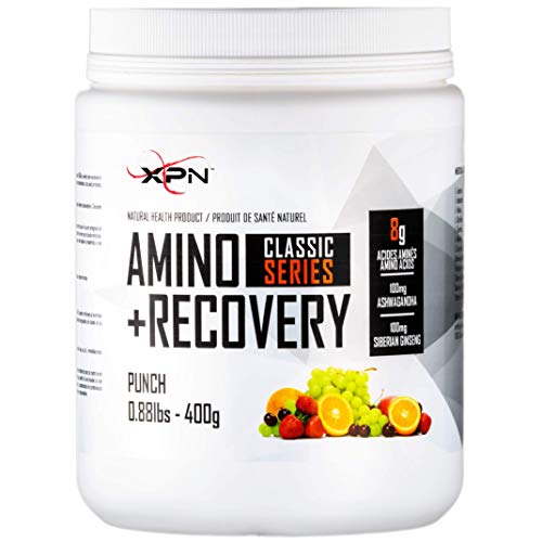 Amino Acids | Amino+Recovery Fruit Punch | XPN