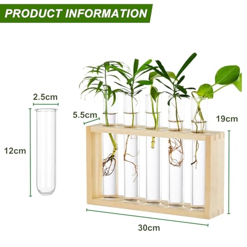 Image of ecofynd Test Tube Planter with Wooden Holder, Air Planter Glass Vase Holder with 4 Test Tube, Home Decor Hydroponic Plant Stand for Table Top, Desktop, Living Room, Office (TTP003)