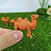 Product Photo 6