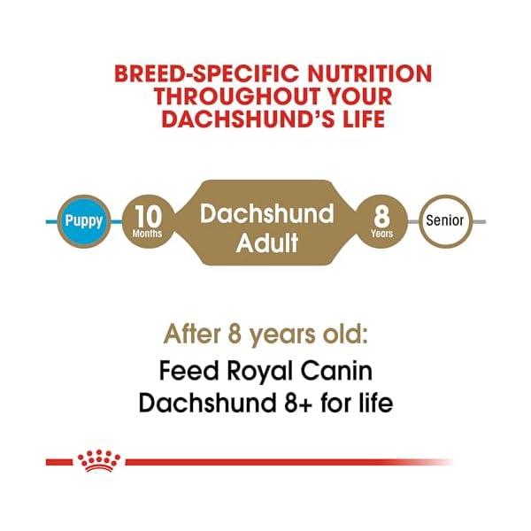Royal Canin Dry Dog Food, Dachshund Formula, 10-Pound Bag by Royal Canin – Bild 8