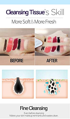 Epielle Og Makeup Remover Cleansing Wipes Tissue Green Tea Towelettes - 60Ct (Sheets) Per Pack, Total 4 Packs Beauty Stocking Stuffers Gift #TOP5