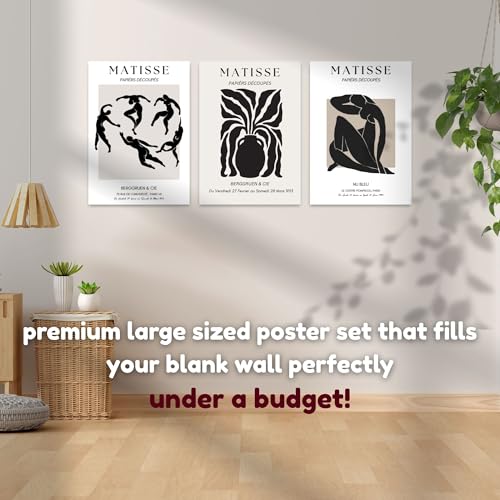 Image of Yellow Town India Vintage Botany Art Prints | Pack of 3 Premium A3 Posters with Wall Friendly Adhesive | Perfect for Bedroom, Living Room, Office & Study Desk Wall, Hostel & Dorm Decor | 300 GSM (Black Matisse)