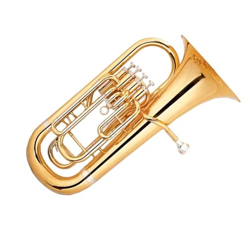 vtFbVi[tHjA 4 X^hL[[tHjAy^J{fBύXpCvz_[ƃ}EXs[X