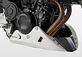 BODYSTYLE Bugspoiler kompatibel mit BMW F 800 R E8ST 798 ccm Bj. 2009-2016