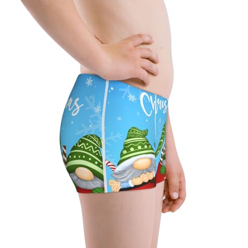 Boys' Cotton Boxer Brief Soft Underwear-Merry Christmas Gnome2